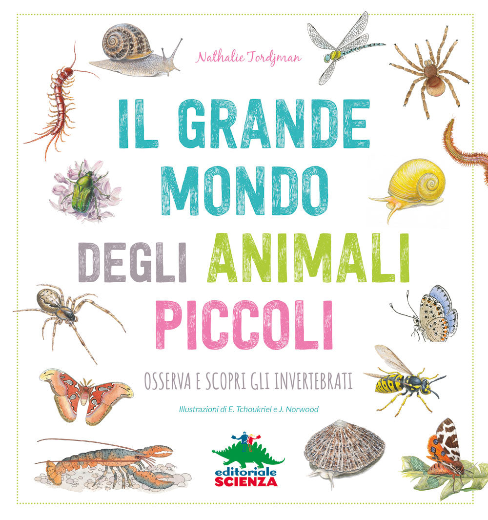 Il grande mondo degli animali piccoli. Osserva e scopri gli invertebrati