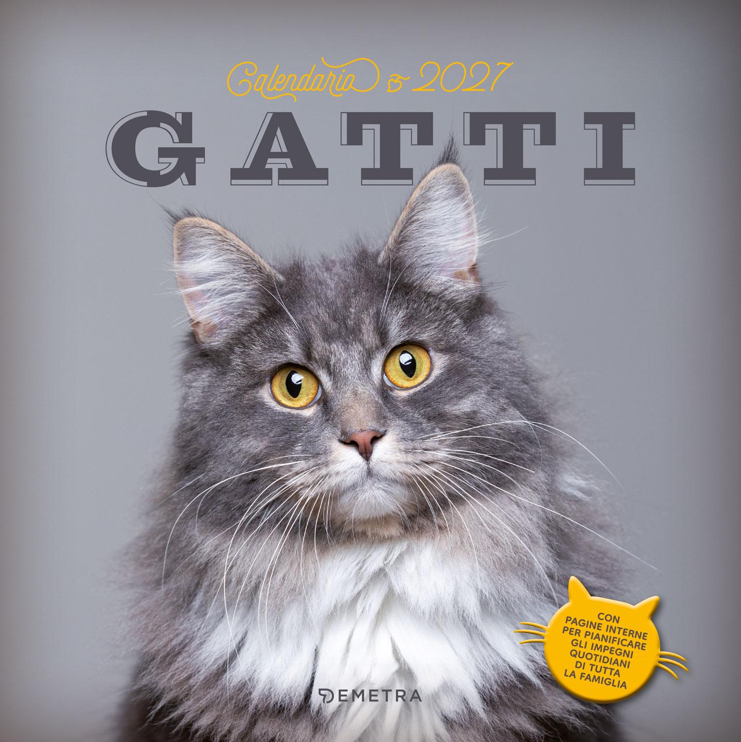 Calendario Gatti  2027