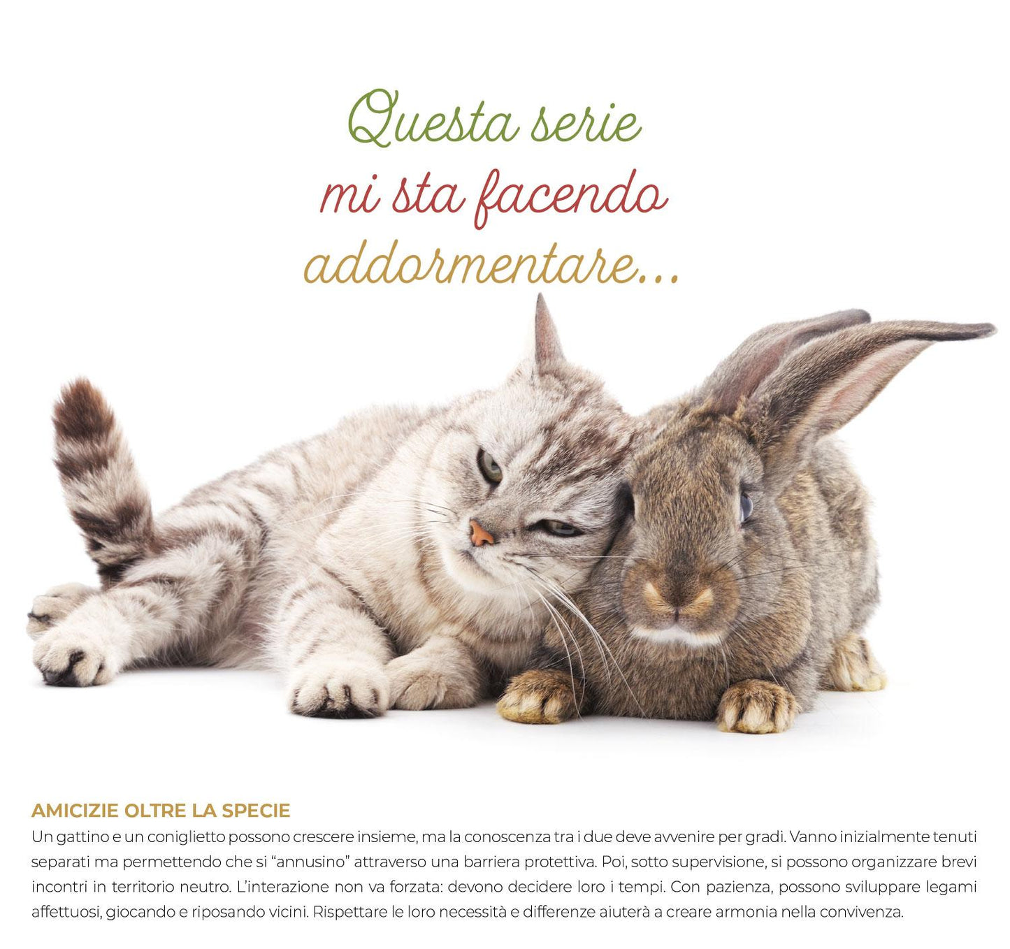 Calendario Cuccioli 2027