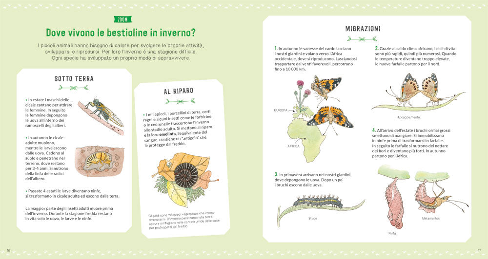 Il grande mondo degli animali piccoli. Osserva e scopri gli invertebrati