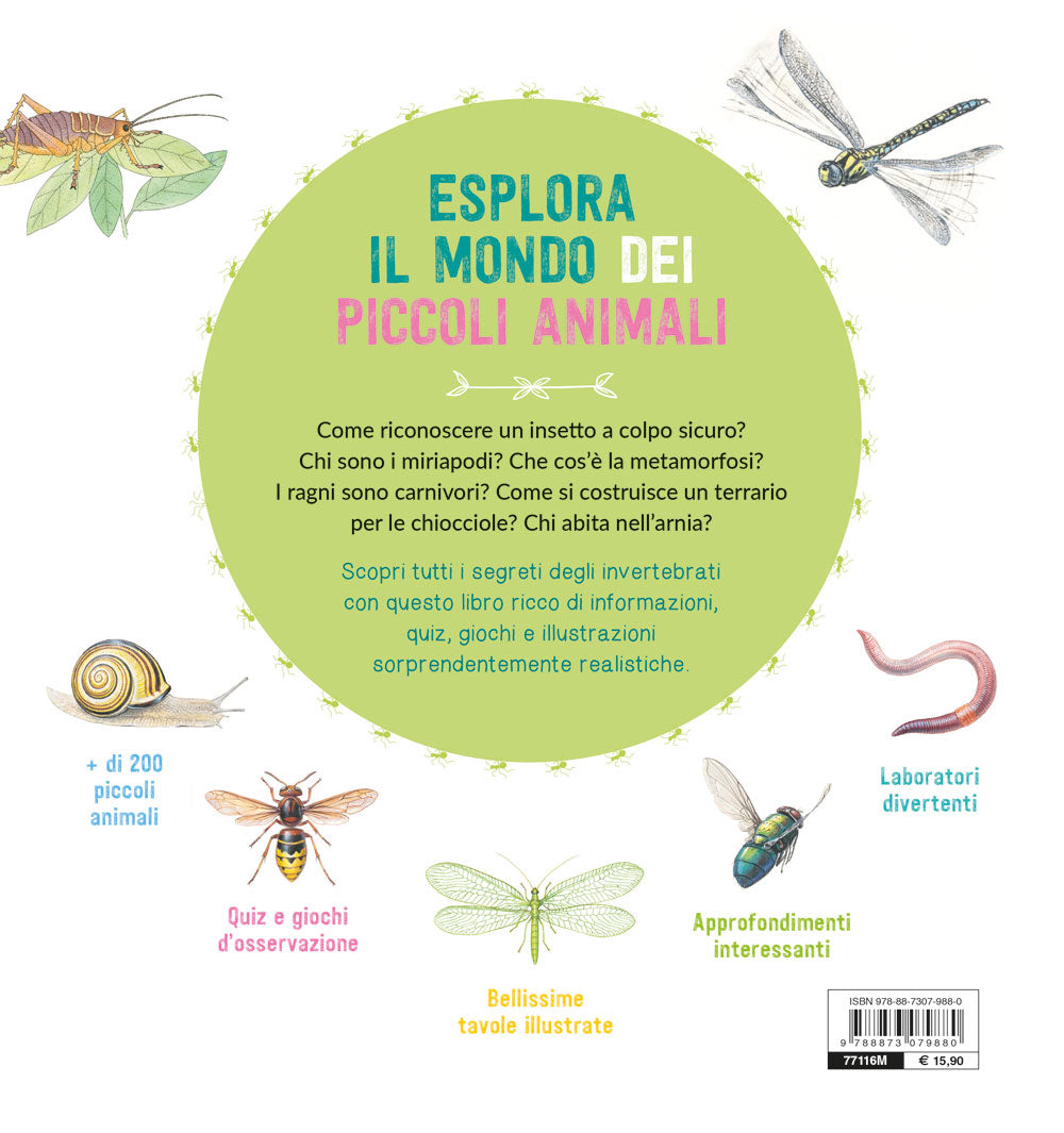 Il grande mondo degli animali piccoli. Osserva e scopri gli invertebrati
