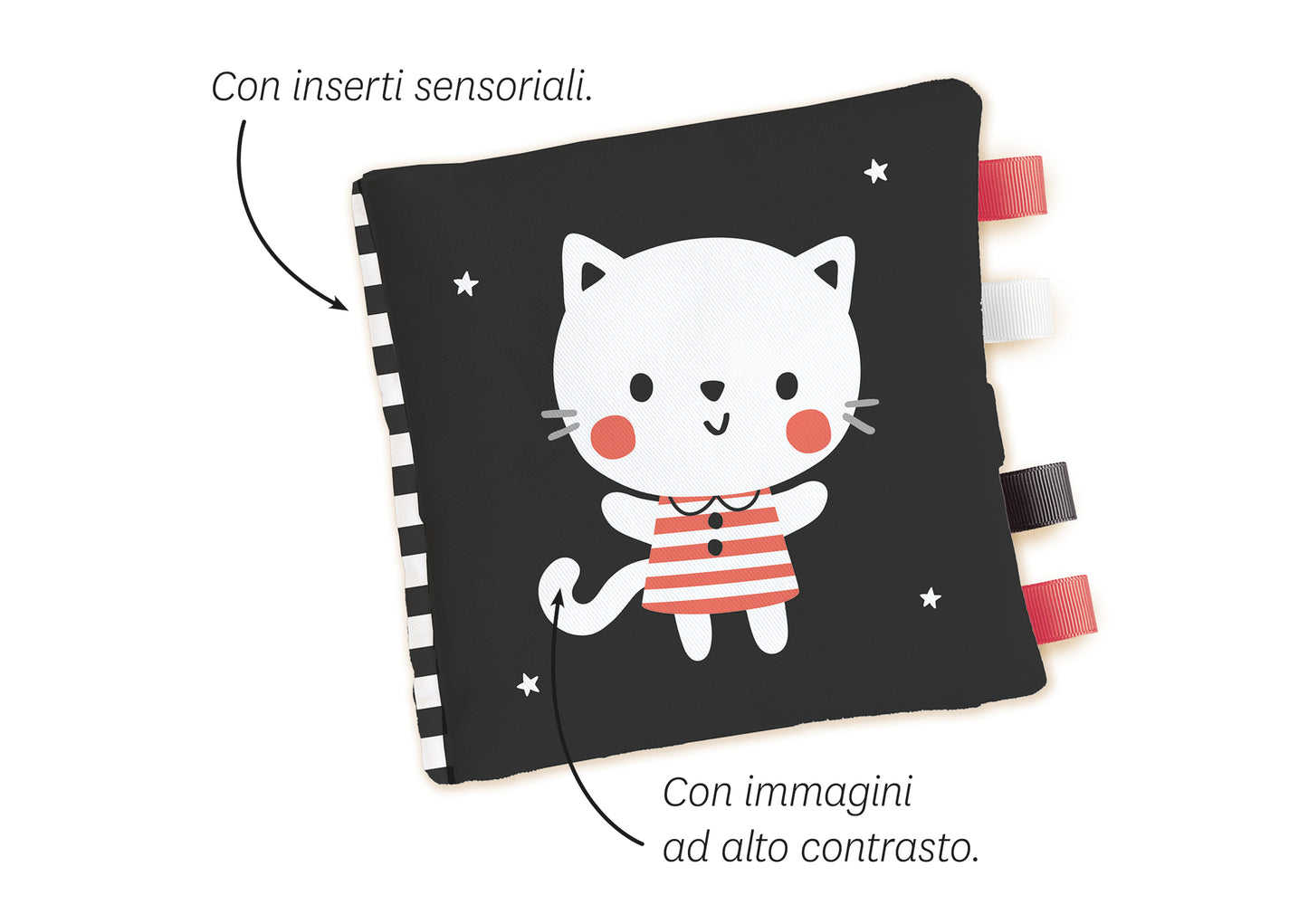 L'orsetto