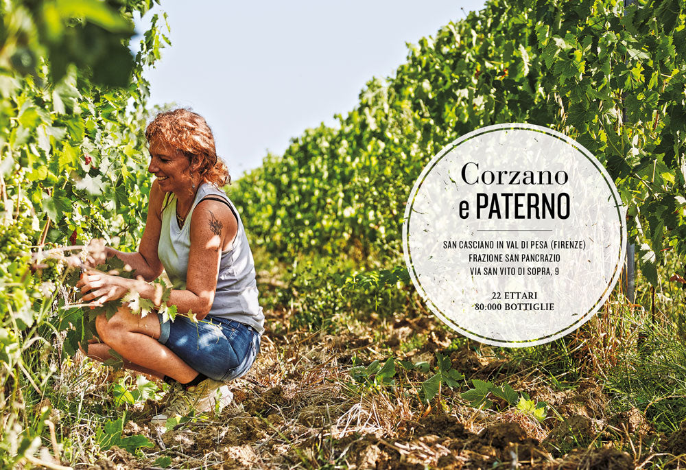 Il grande viaggio nel vino italiano. Racconti di vita, vigne, vini