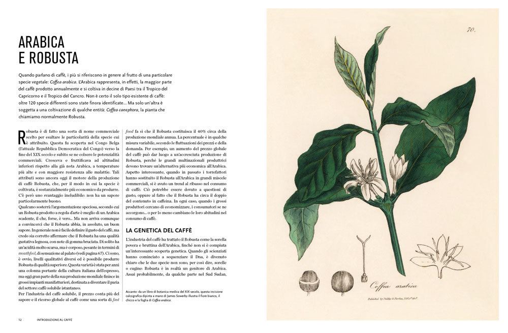 Il mondo del caffè. Storia, produzione, geografia, cultura