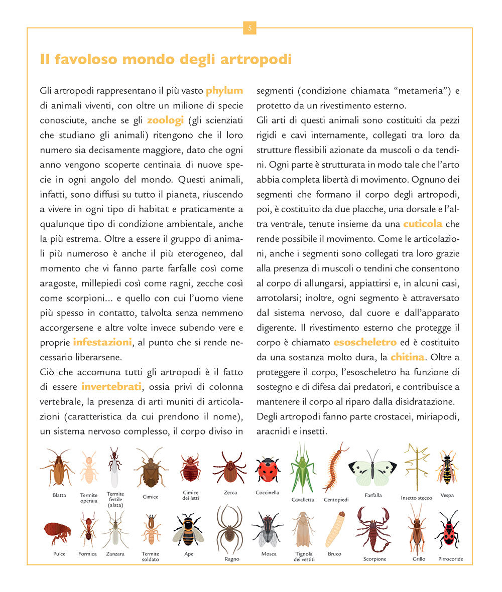 Insetti e altri piccoli artropodi
