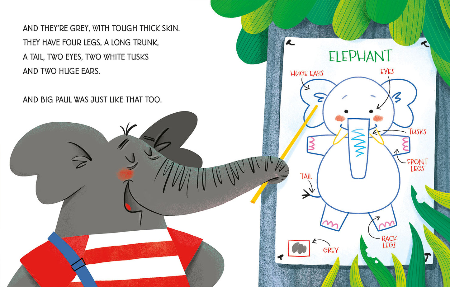 The gentle elephant
