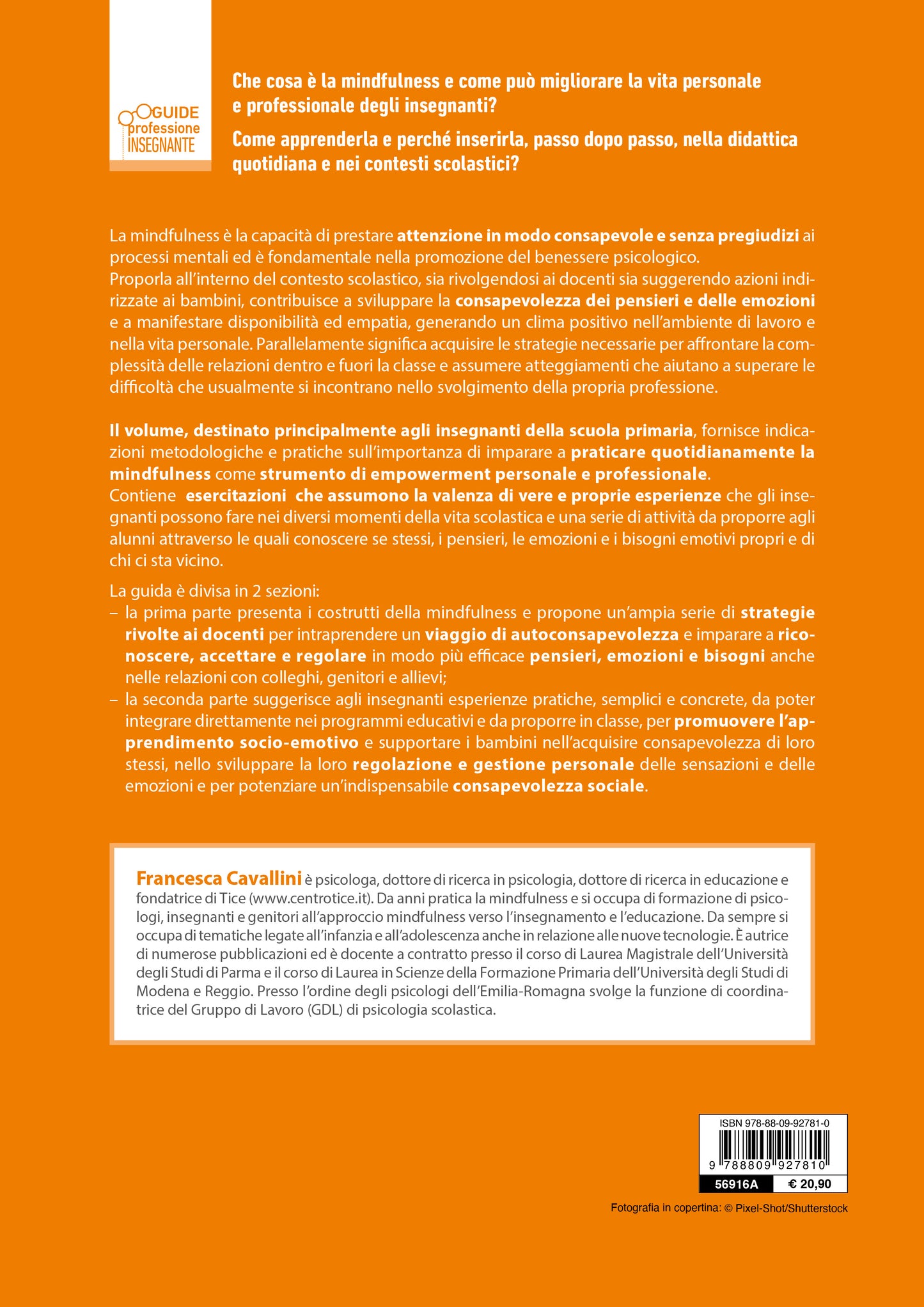 Praticare la mindfulness a scuola . Metodologie e attività per il benessere e la regolazione delle emozioni di insegnanti e allievi