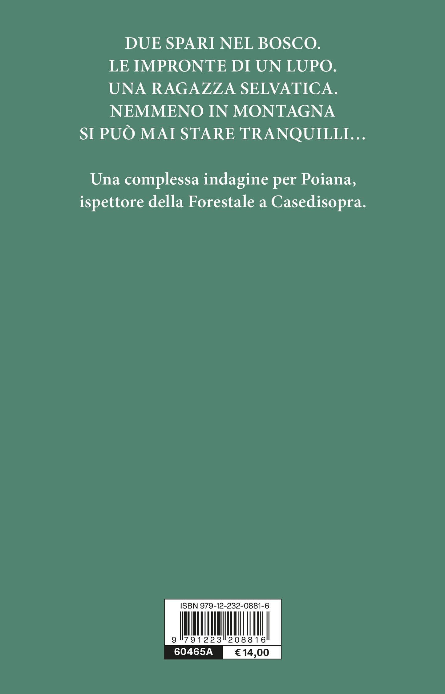 Tempo da elfi