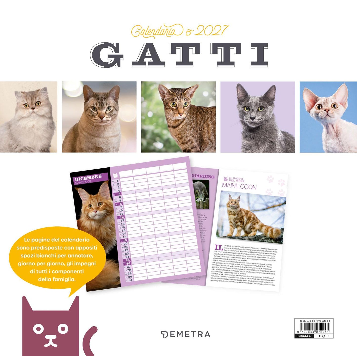Calendario Gatti  2027