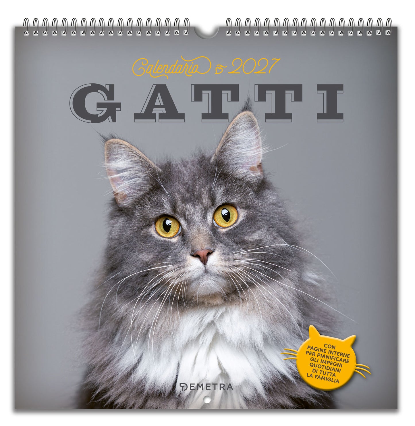 Calendario Gatti  2027