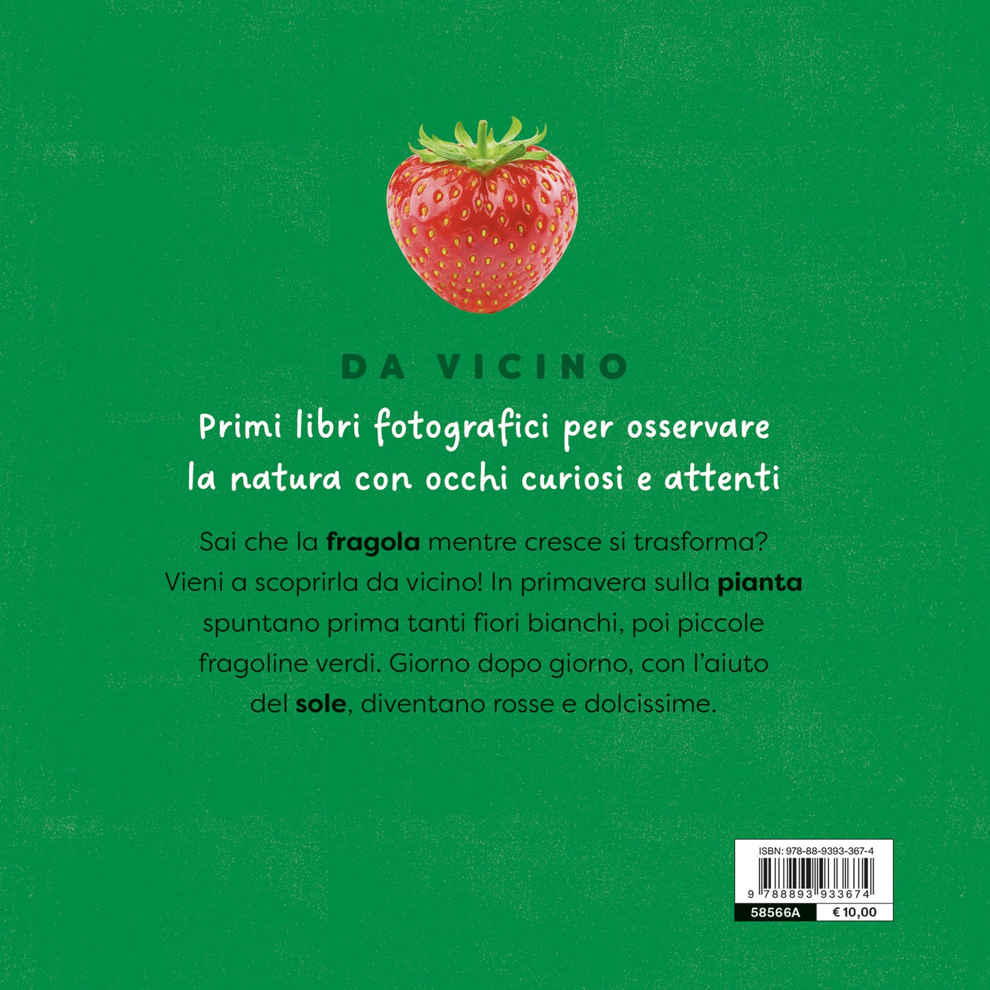 Fragola. un primo sguardo scientifico sul mondo naturale