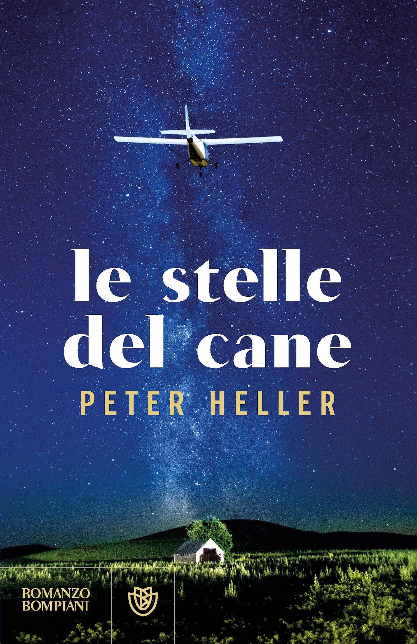 Le stelle del cane
