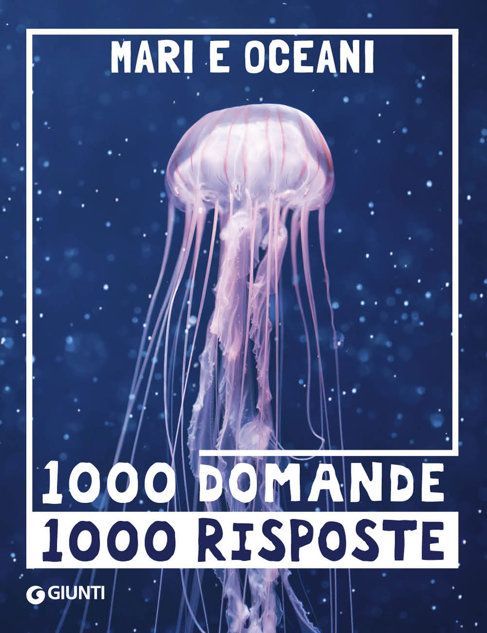 Mari e oceani