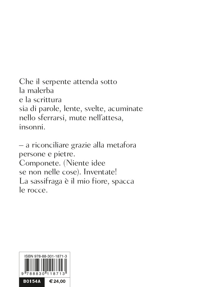 A un discepolo solitario. Testo inglese a fronte