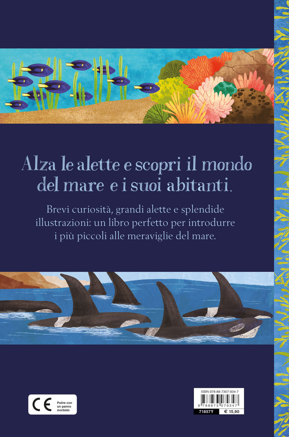Mare. Alza le alette e scopri la natura!