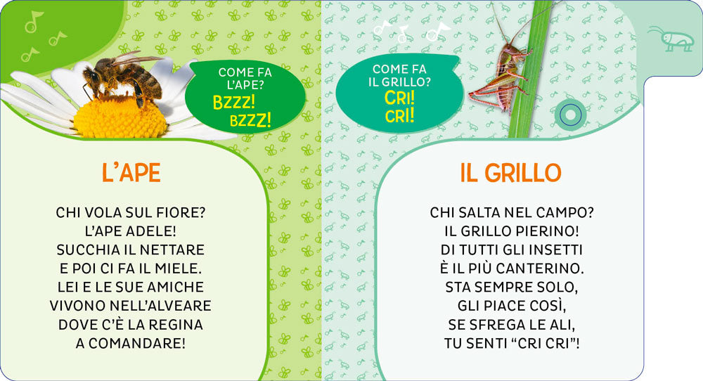 Animali del prato