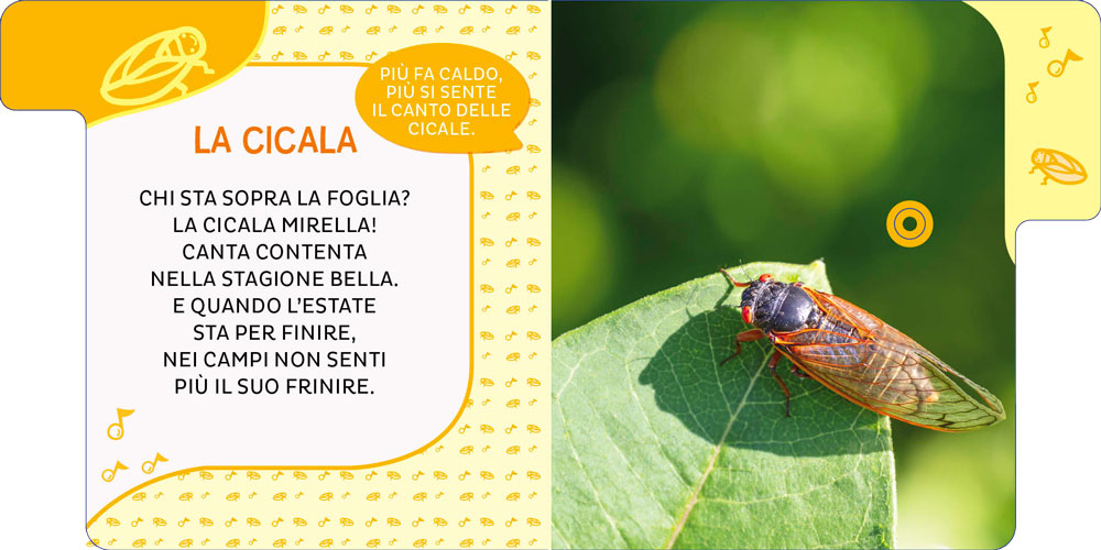 Animali del prato