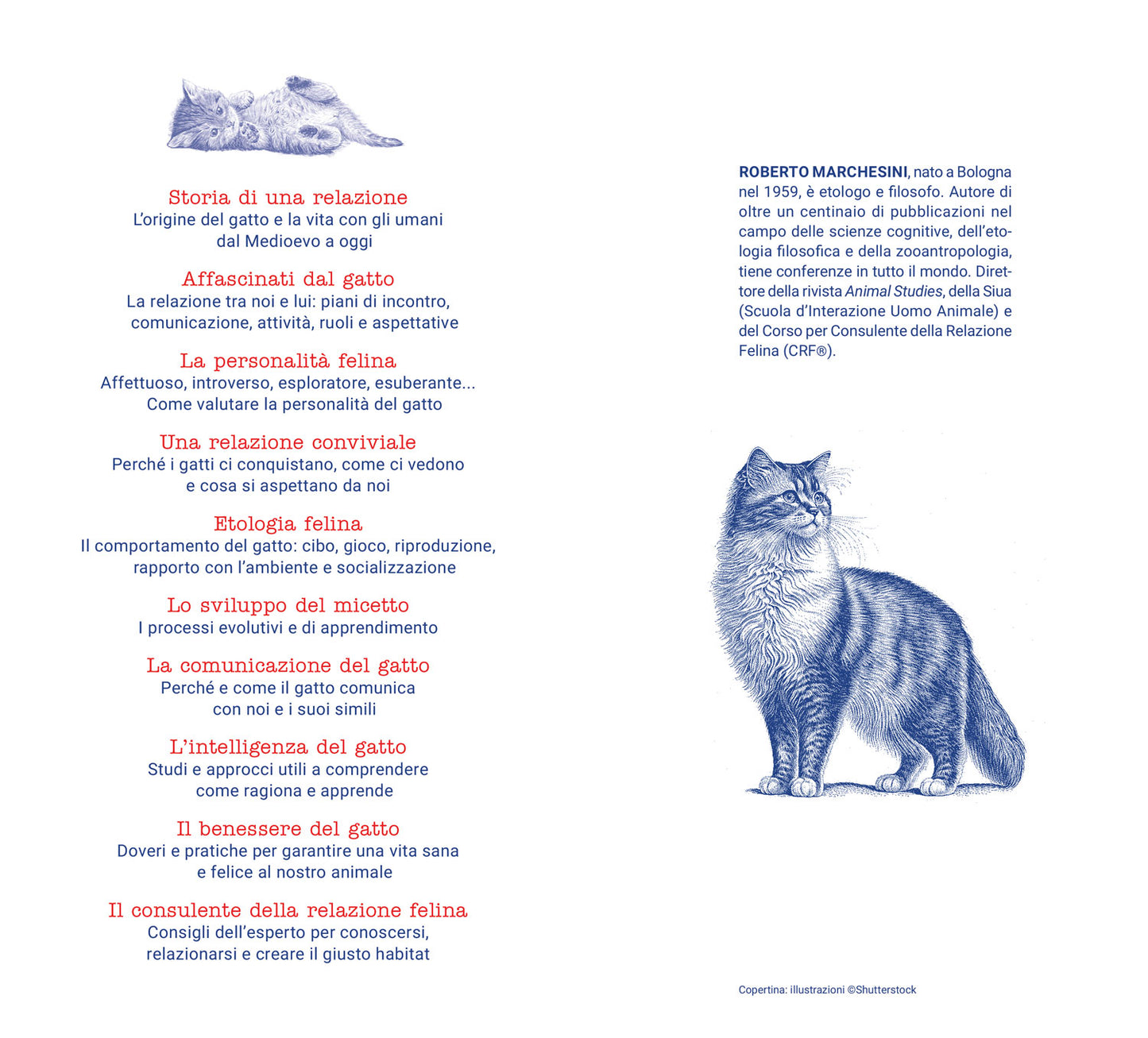 La scienza del gatto. cosa sappiamo dei nostri amici felini