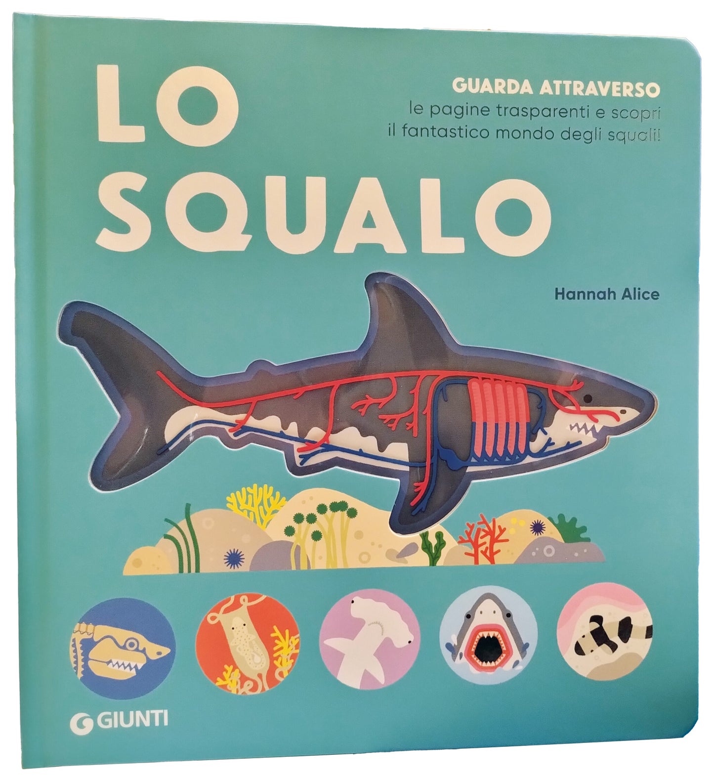 Lo squalo