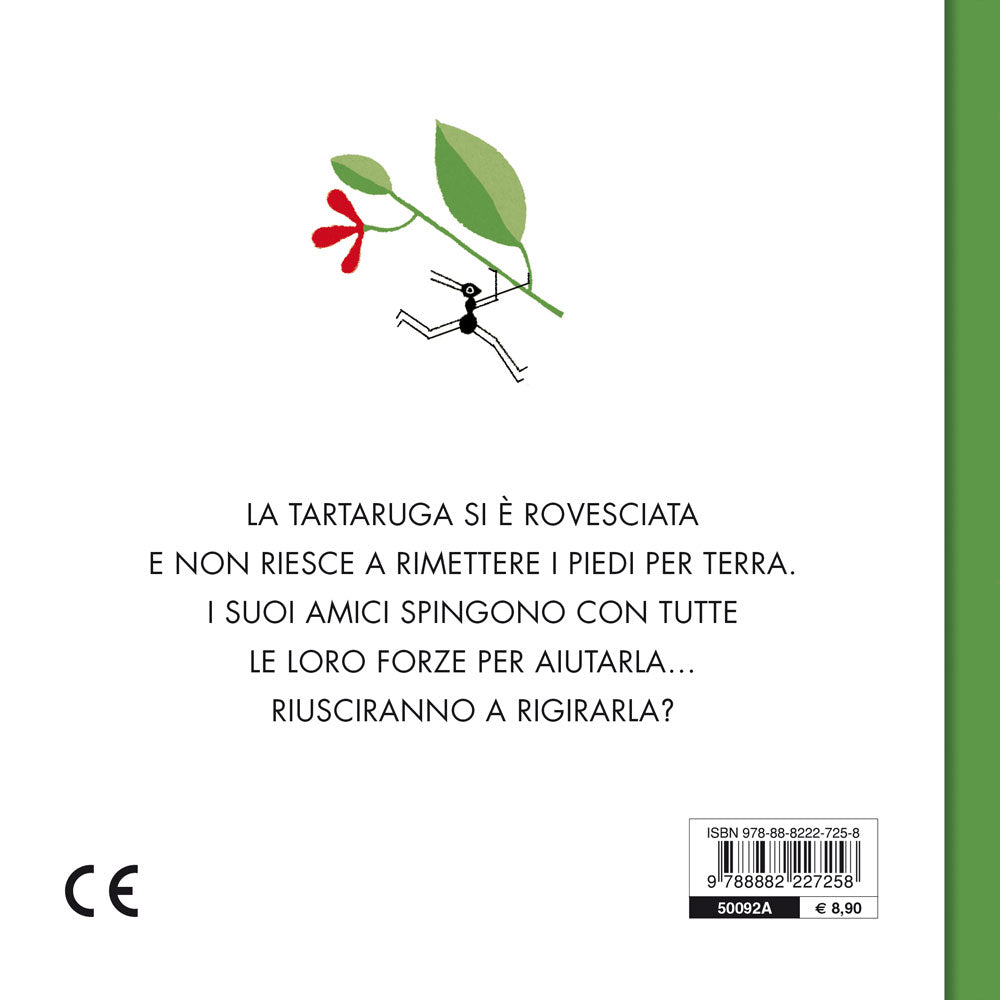 Gira la tartaruga!