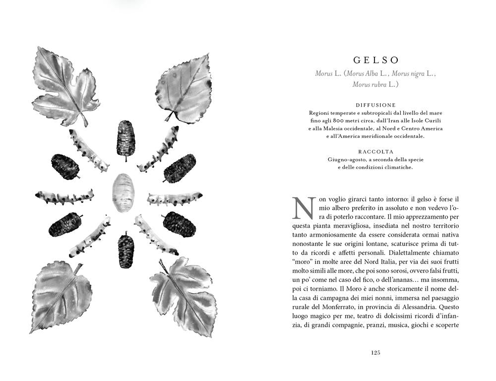 Botanica nascosta. Storia, curiosità, superpoteri delle piante dimenticate. Storia, curiosità, superpoteri delle piante dimenticate