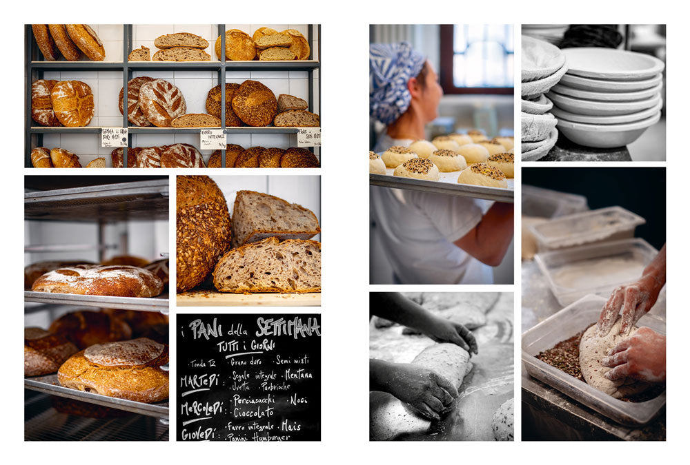 Le stagioni del pane. tecniche e ricette per impasti perfetti