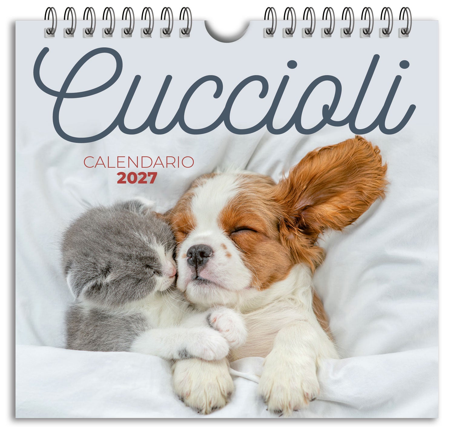 Calendario Cuccioli 2027 da tavolo (17 x 16 cm)