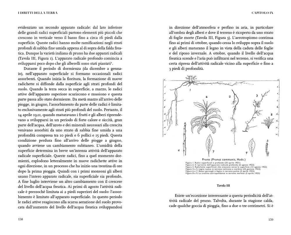 I diritti della terra. Alle radici dell'agricoltura naturale
