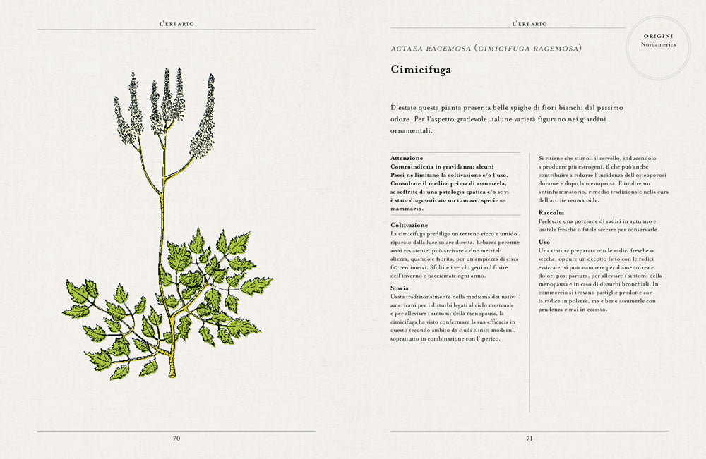 Curarsi con le piante. Giuda ai rimendi fitoterapici del più antico orto botanico di Londra