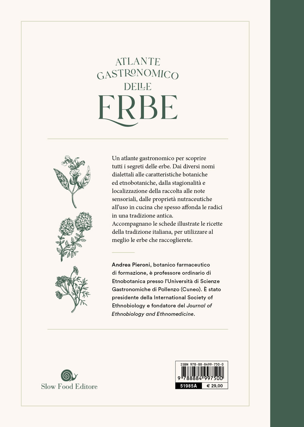 Atlante gastronomico delle erbe. 170 piante. 60 ricette