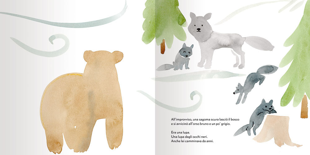 L'orso più tenero
