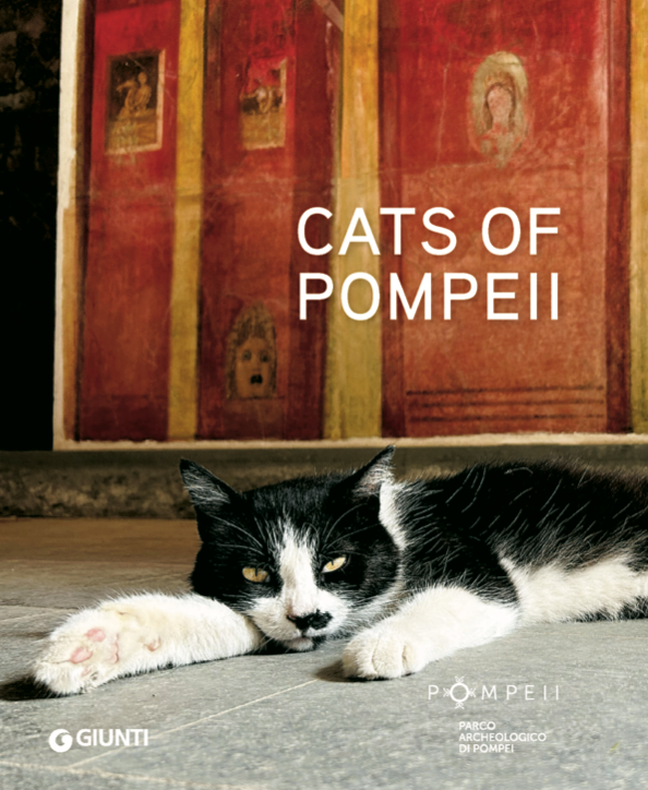 CATS OF POMPEII