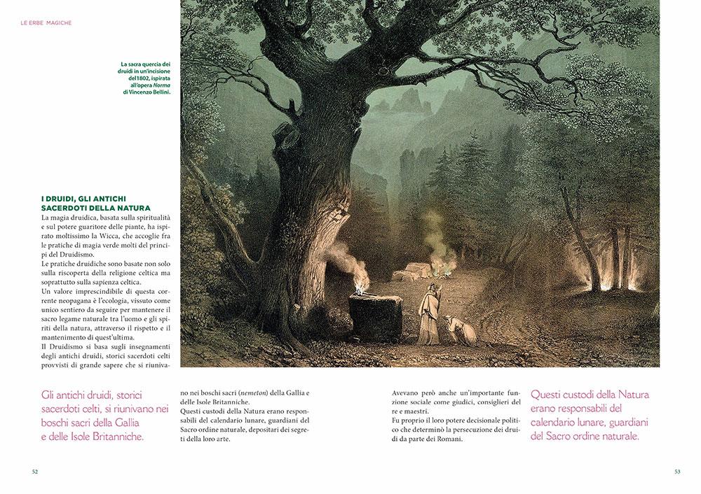L'Erbario della Wicca
