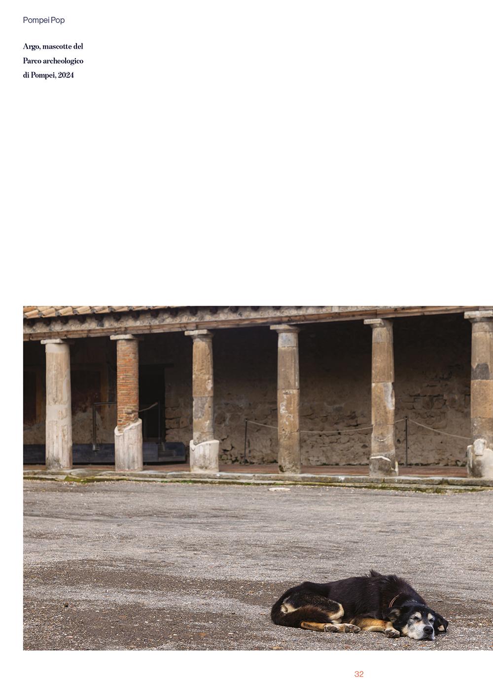 Pompei pop. Storie pompeiane dai Borboni ai Pink Floyd
