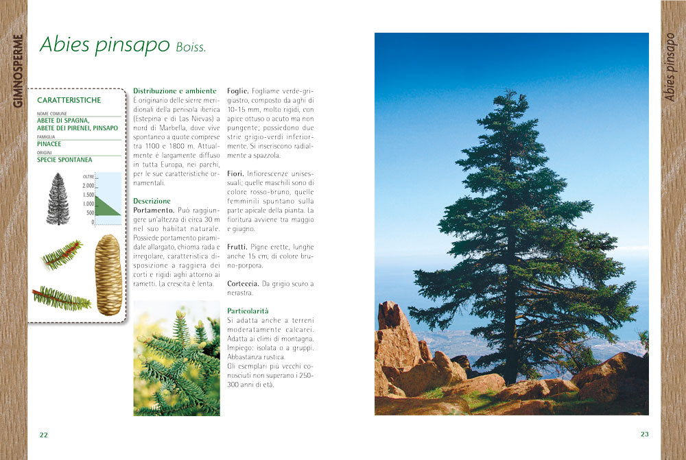 Alberi. Guida al riconoscimento