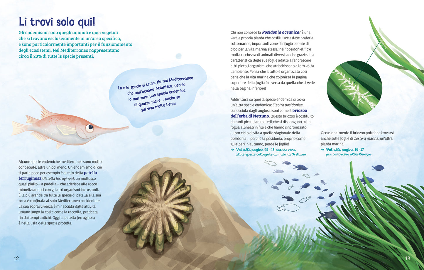 Cronache dal Mediterraneo. Storie biodiverse sotto le onde del mare