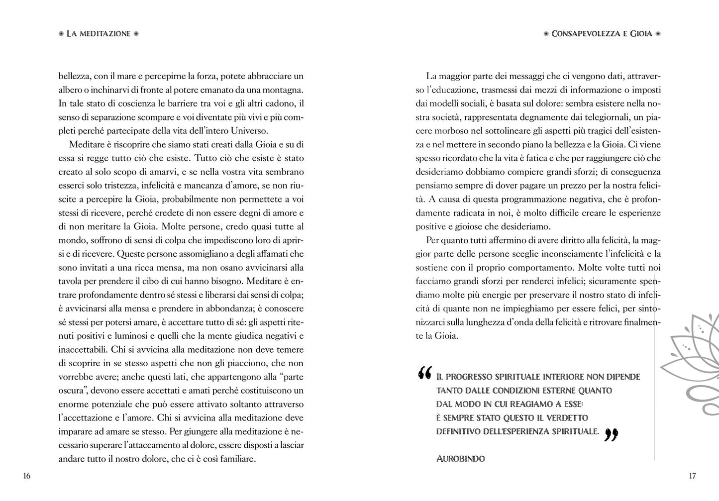 Meditazione. La riscoperta dell'armonia