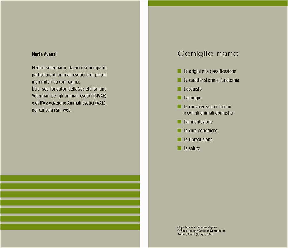 Coniglio nano. Caratteristiche - Comportamento - Allevamento - Riproduzione - Alimentazione -  Igiene - Salute