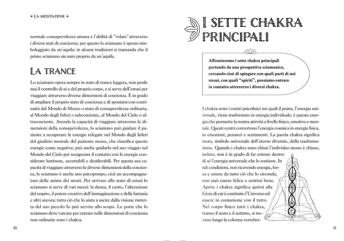 Meditazione. La riscoperta dell'armonia
