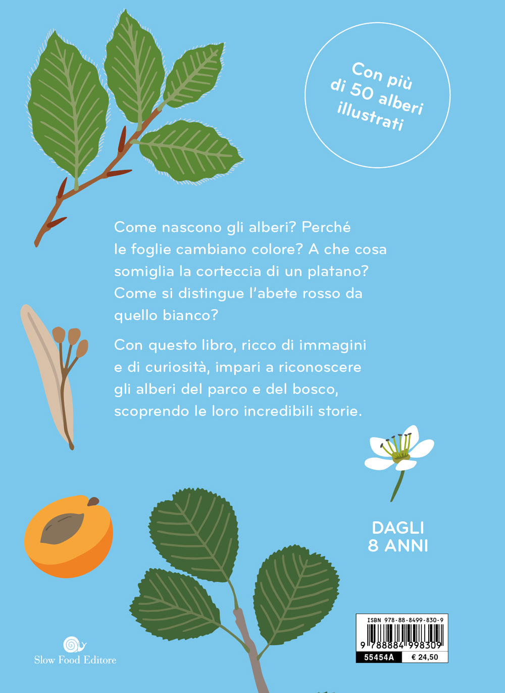 ARBORAMA. SCOPRI E OSSERVA IL FAVOLOSO MONDO DEGLI ALBERI