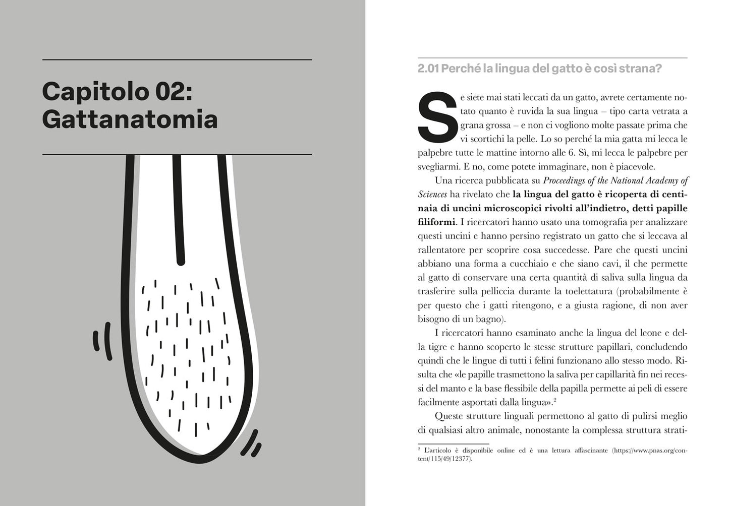 Gattologia. La stramba e meravigliosa scienza dietro al nostro micio