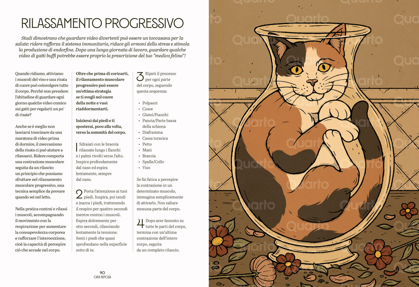 Gatti zen. Guida felina alla meditazione