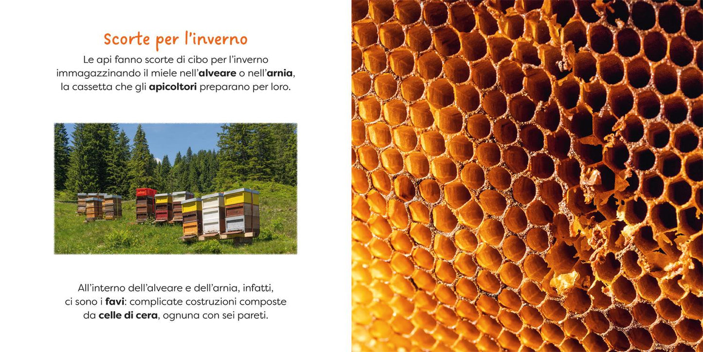 Ape. primi libri fotografici per osservare la natura da vicino!