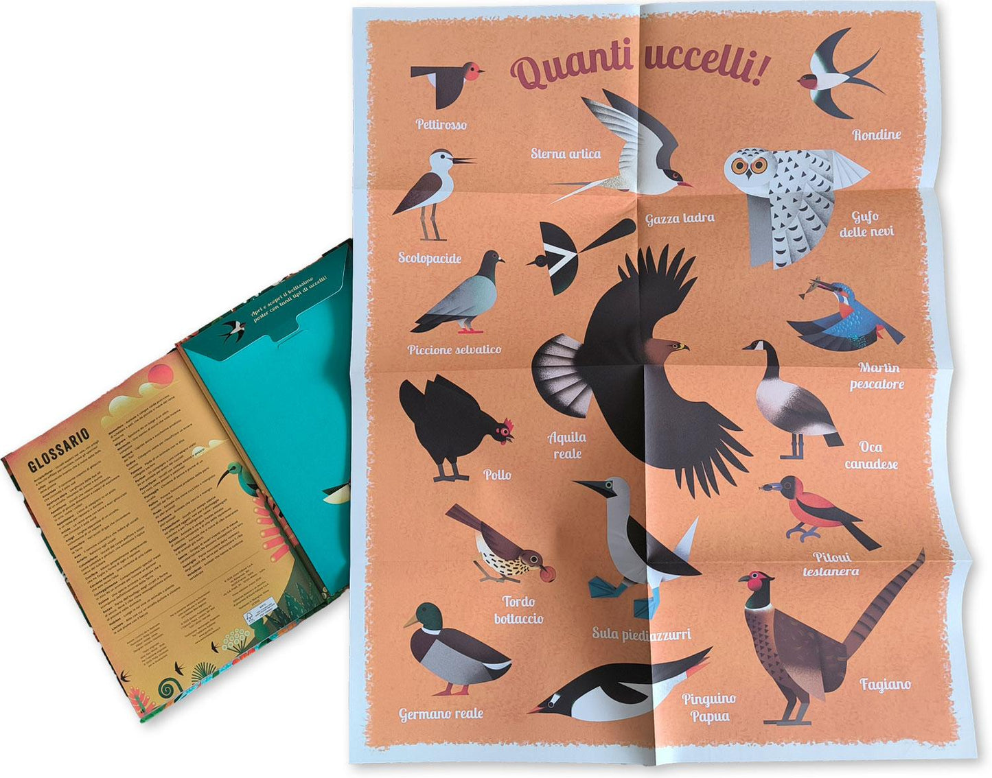 Il mio libro degli uccelli. Una prima guida per aspiranti birdwatchers!