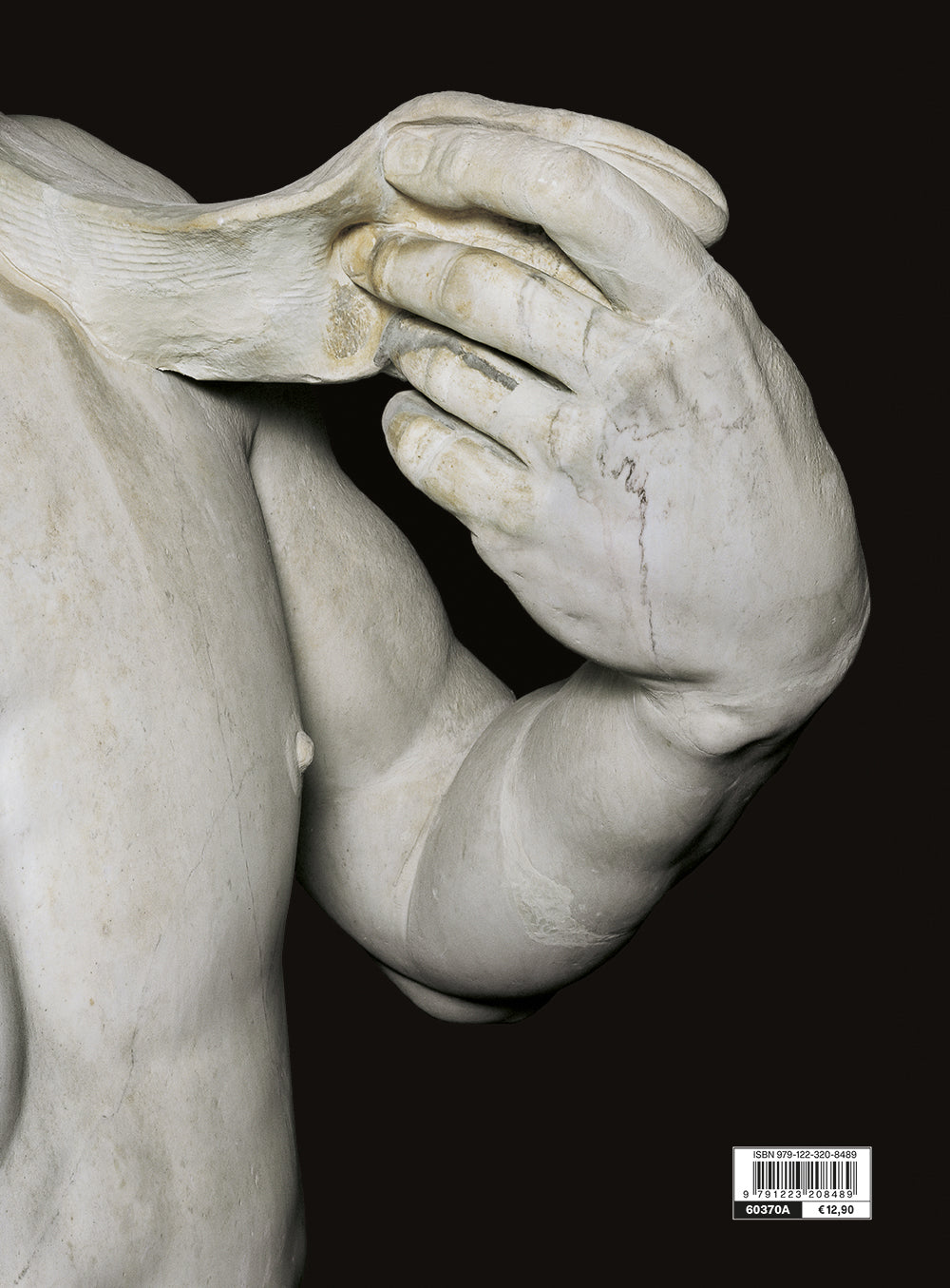 Il David di Michelangelo