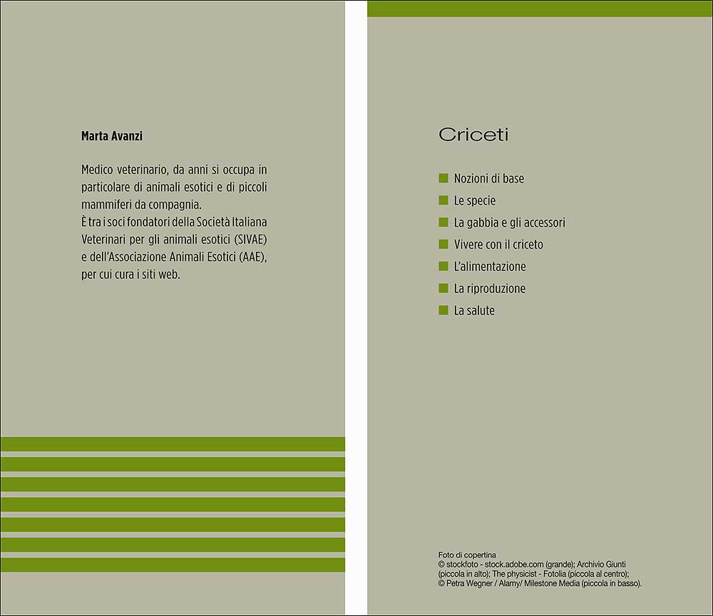 Criceti. Caratteristiche - Comportamento - Allevamento - Riproduzione - Alimentazione -  Igiene - Salute