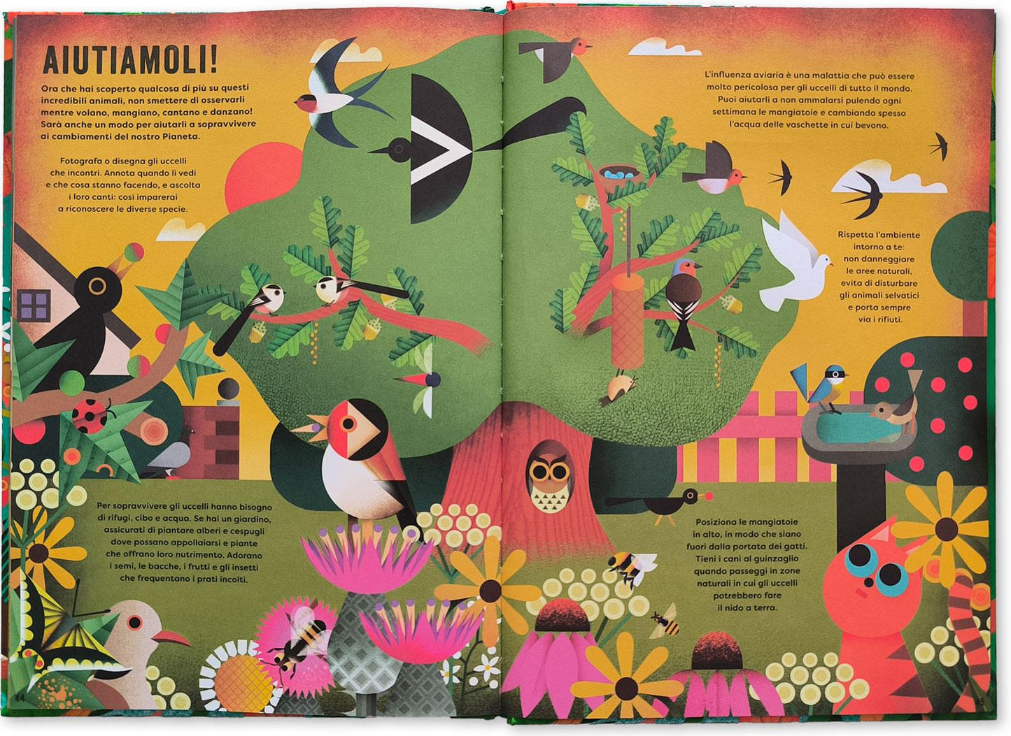 Il mio libro degli uccelli. Una prima guida per aspiranti birdwatchers!