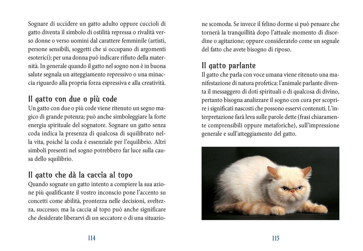 I poteri magici del gatto. Storia- Leggende - Tradizioni