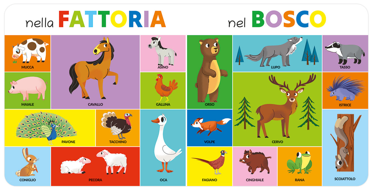 100 Animali