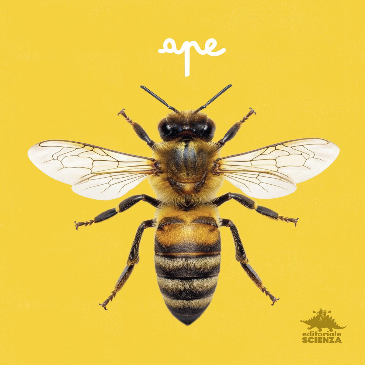 Ape. primi libri fotografici per osservare la natura da vicino!